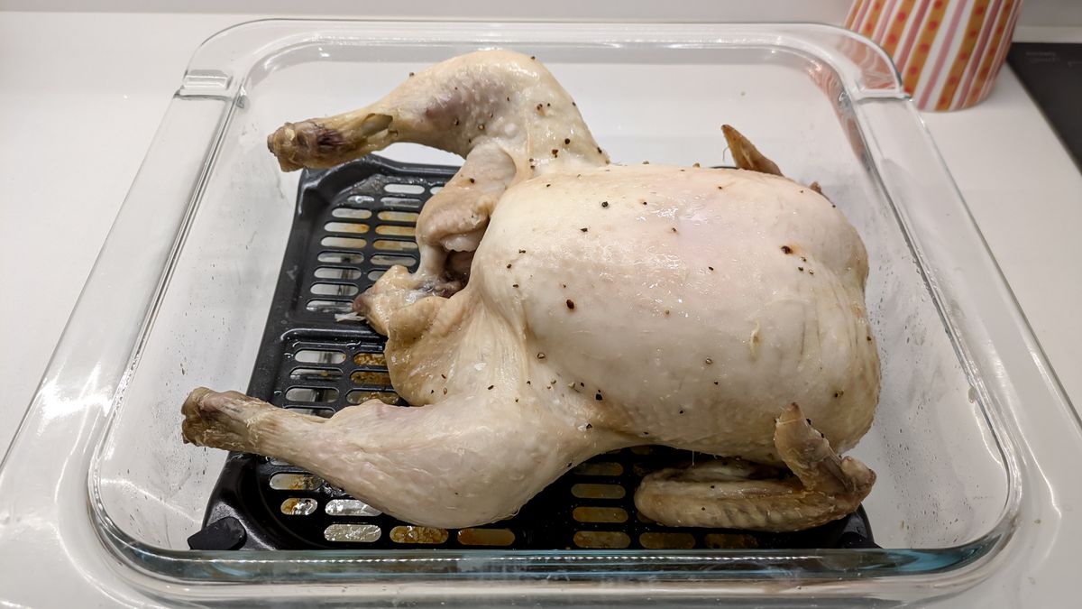 Ninja Crispi Microwave - chicken after microwave stage
