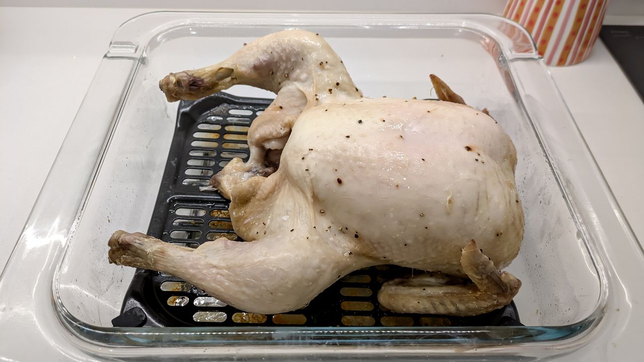 Ninja Crispi Microwave - chicken after microwave stage