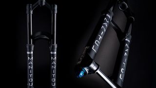 enduro fork