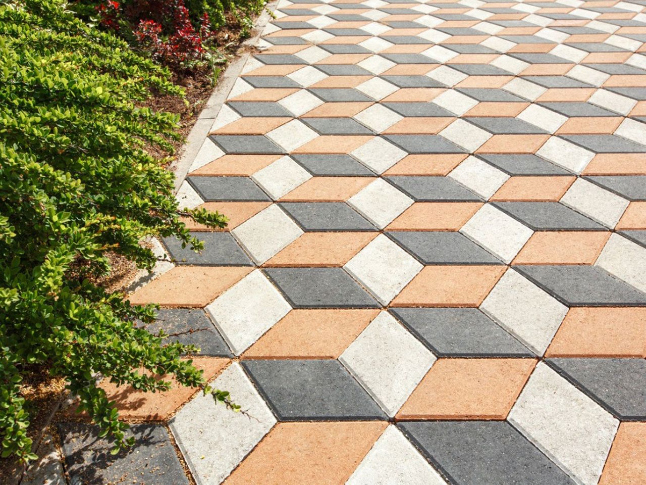 Plants Lining Unique Pavement