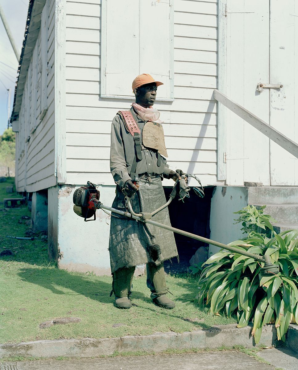 The Gardener, from Wait-and-see Pudding and Patience Sauce series