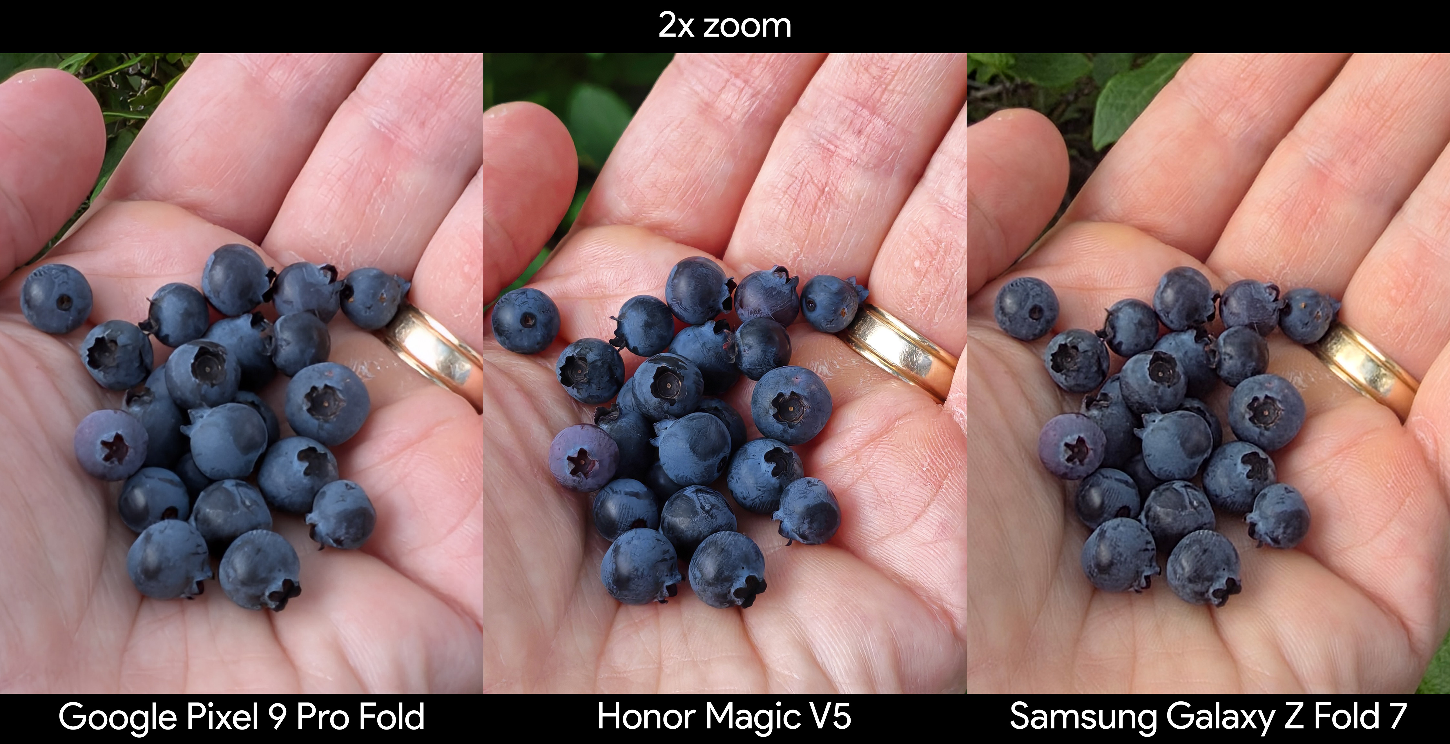 Comparing images of holding blueberries between the Honor Magic V5, Samsung Galaxy Z Fold 7, and Google Pixel 9 Pro Fold
