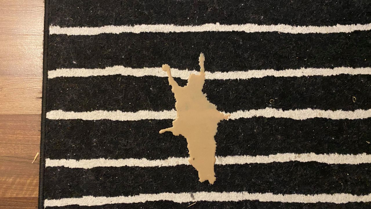 Annie's striped rug, testing the BISSELL multi-surface cleaner, with coffee on