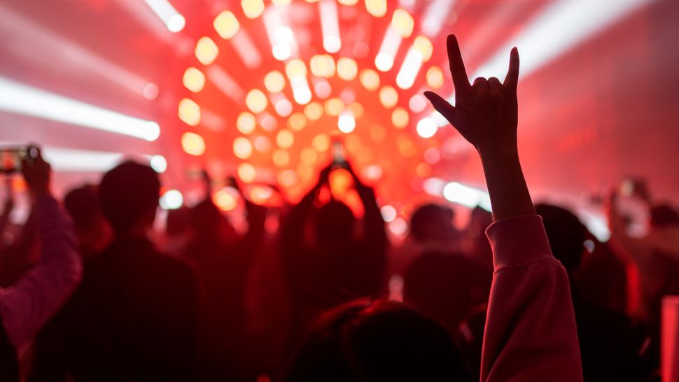 How often should you replace your earplugs? Louder