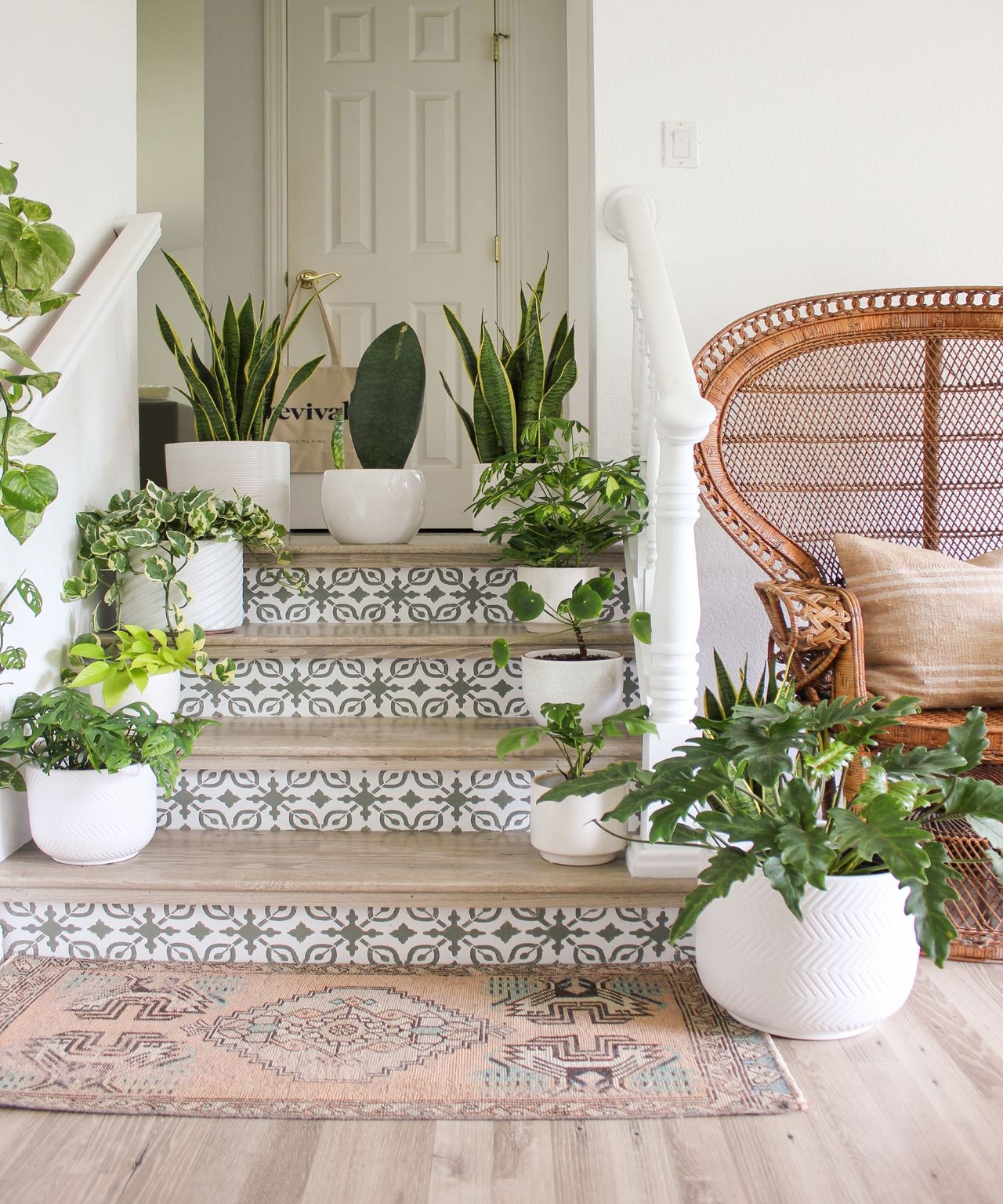 Houseplants on wooden stairs