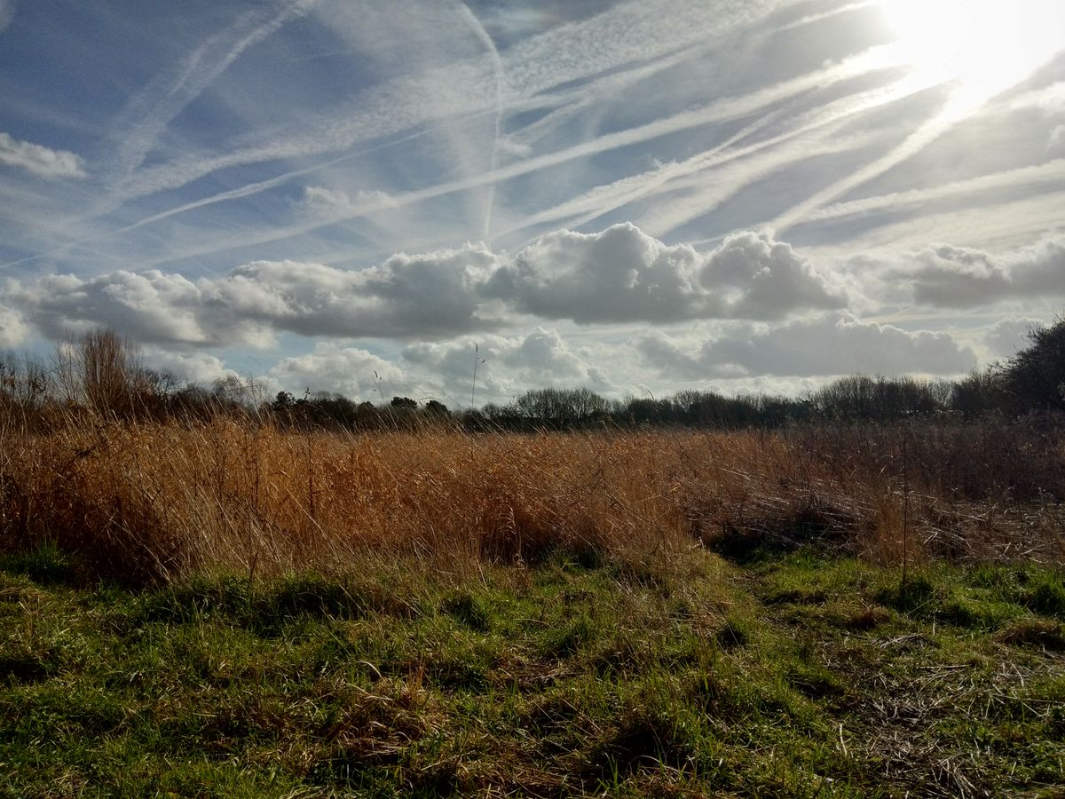 At the extremes, HDR can make shots look almost otherworldly. Nice. Image credit: TechRadar