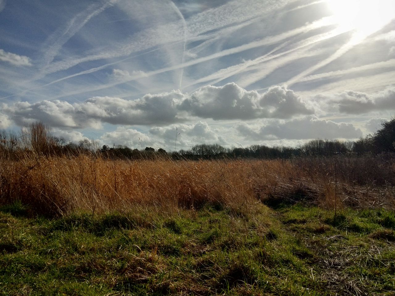 At the extremes, HDR can make shots look almost otherworldly. Nice. Image credit: TechRadar