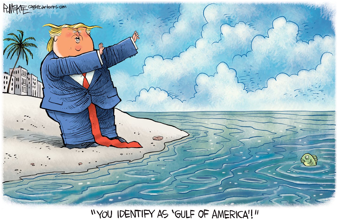 
                                Political Cartoon
                            