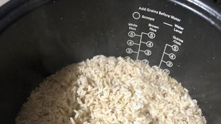 Nutribullet EveryGrain Cooker Best Rice Cooker Best Steamer Review cooked brown rice inside rice cooker showing measurements inside cooker