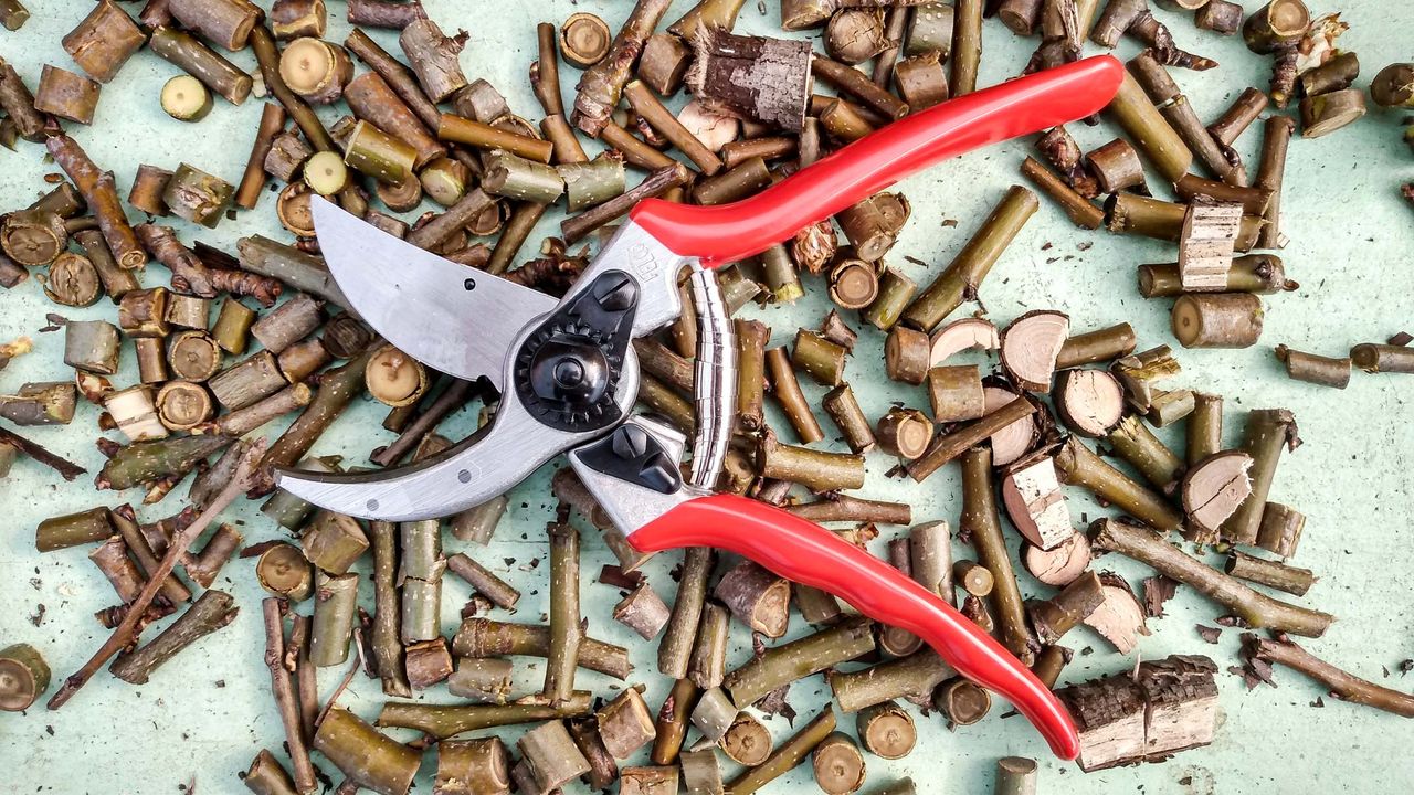 Best Pruning Shears: