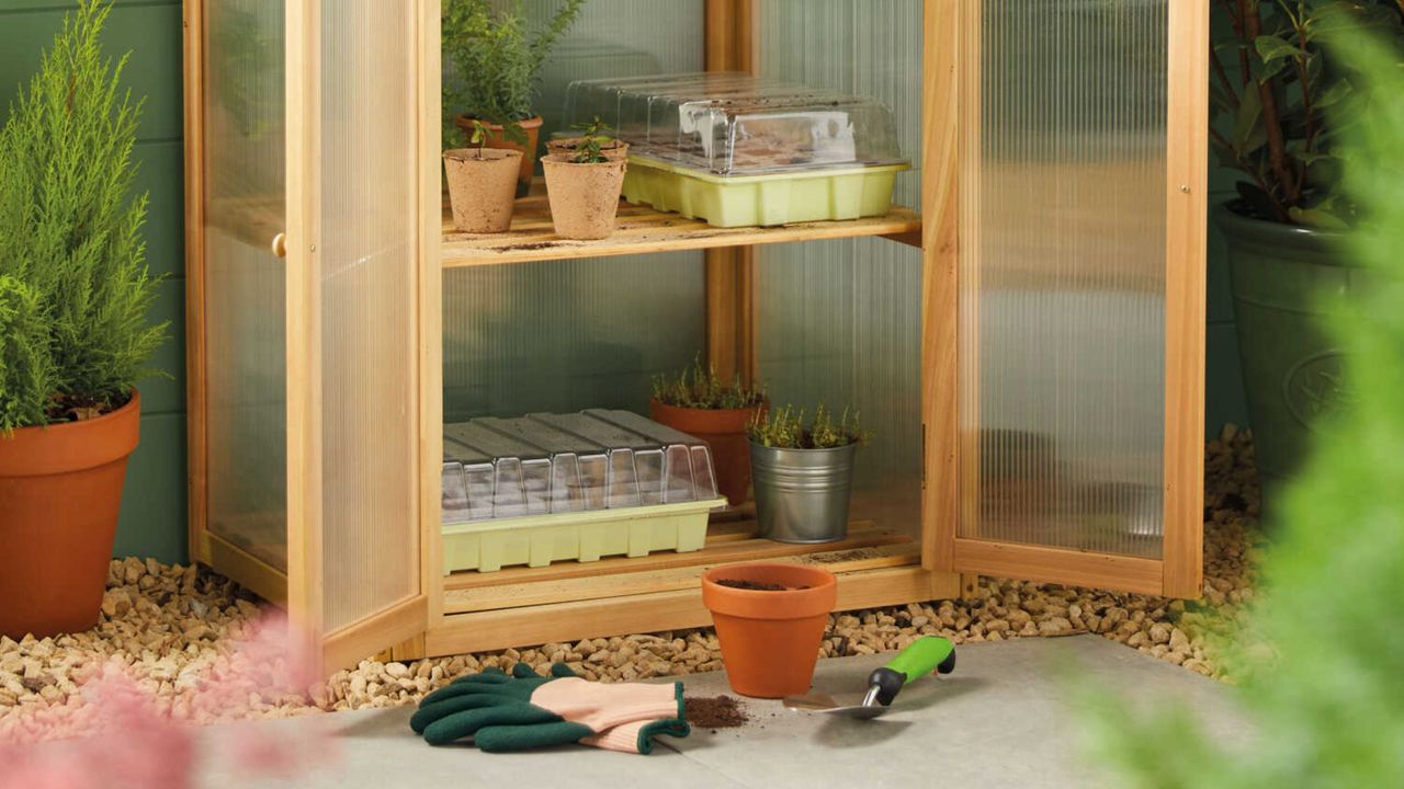 Aldi wooden mini greenhouse