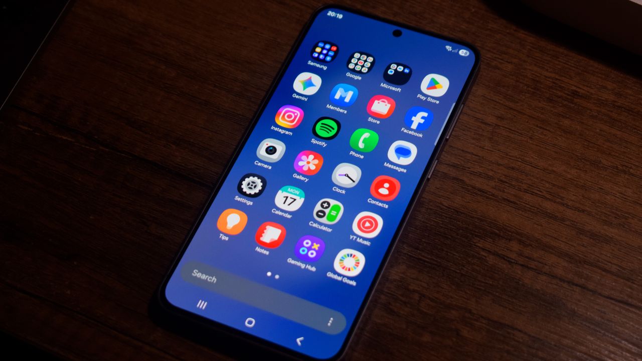 The Samsung Galaxy S25 FE