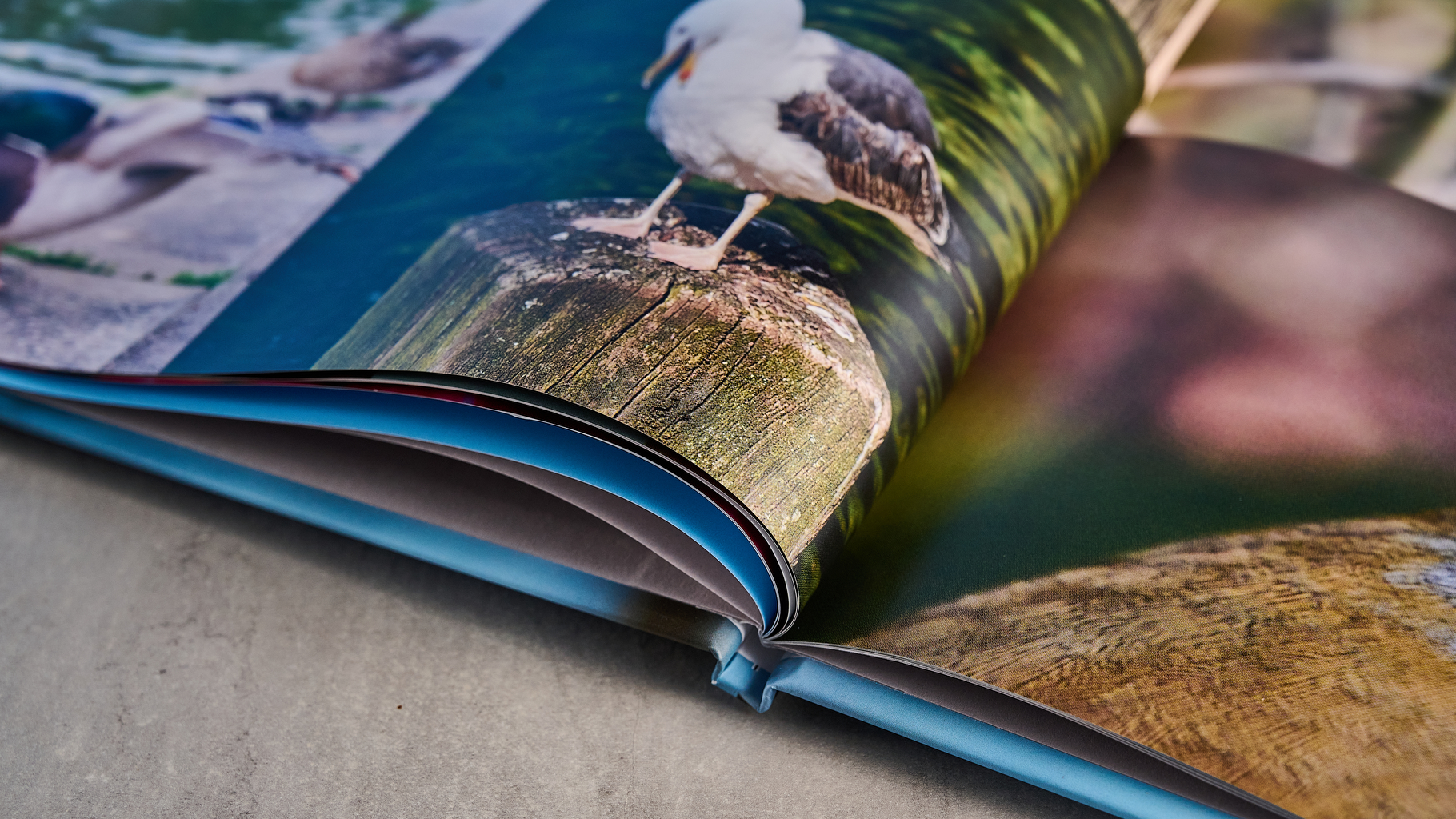 Blurb photo book photographed on a table in front of a blue background