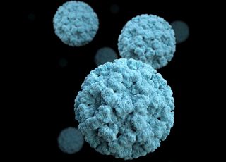 This 3D graphical representation of norovirus particles is based on electron microscopic imagery of actual virus particles.