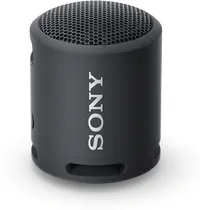 Sony SRS-XB100