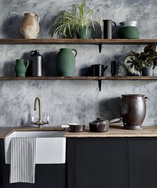 Neptune kitchen expert sink tip, kitchen sink with plants and gray wallpaper