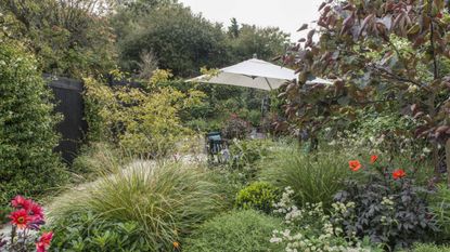 A garden border filled with wildflowers