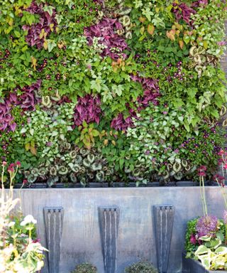a living wall with mixed foliage for garden screening
