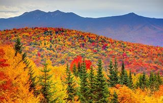 Autumnwatch: Fall in the White Mountains of New Hampshire