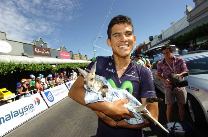 Andrey Amador (Movistar) at the Tour Down Under.