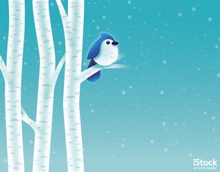 Birch Tree Winter Bird by filo. This is a vector illustration, so it can be used at any size without loss of quality