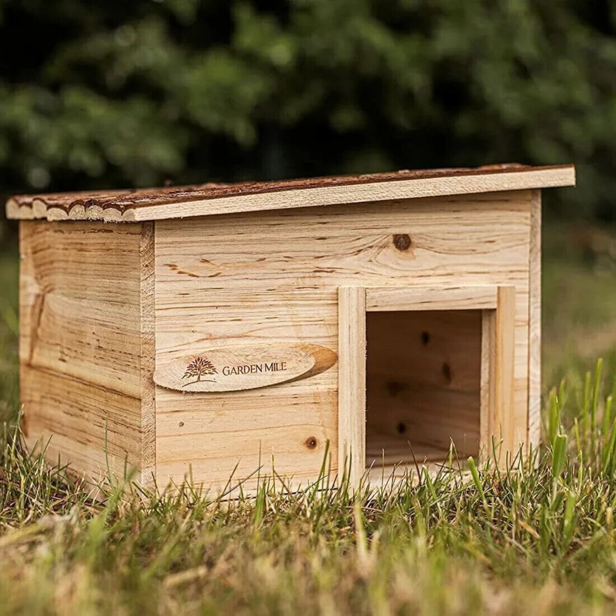hedgehog house Amazon