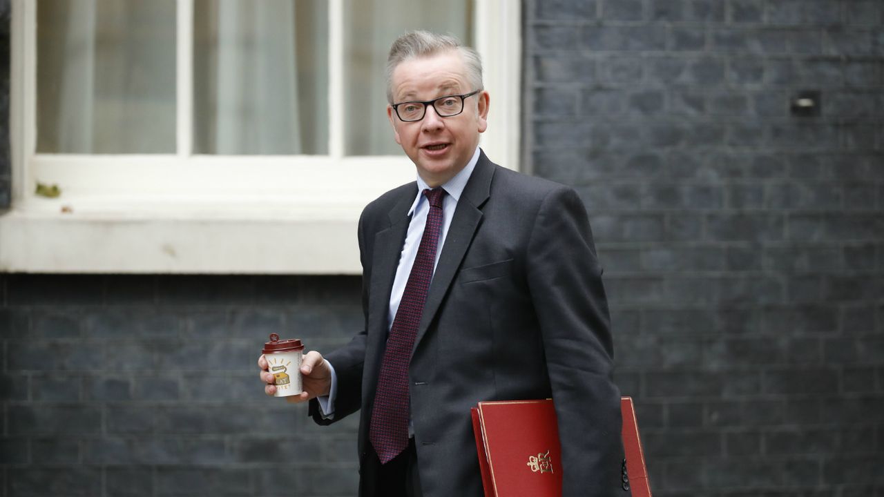 Environment Secretary Michael Gove