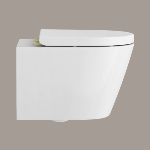 Victorian Plumbing, Arezzo Rimless Wall Hung Toilet