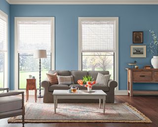 Modern living room with medium blue walls, gray sofa, white windows and wooden dresser with framed photos on the wall