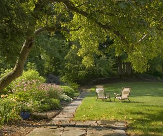 A large lawned backyard, two rattan reclined lawn chairs underneath a large overhanging tree.