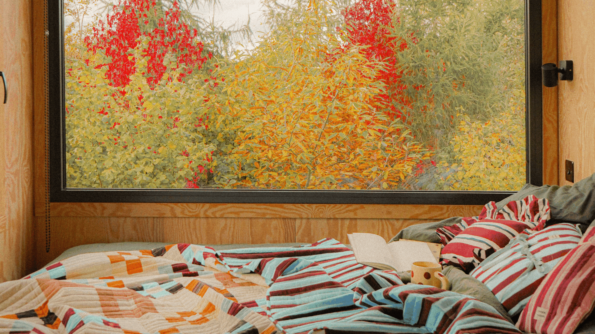 A GIF of Unplugged's Damson Madder cabin