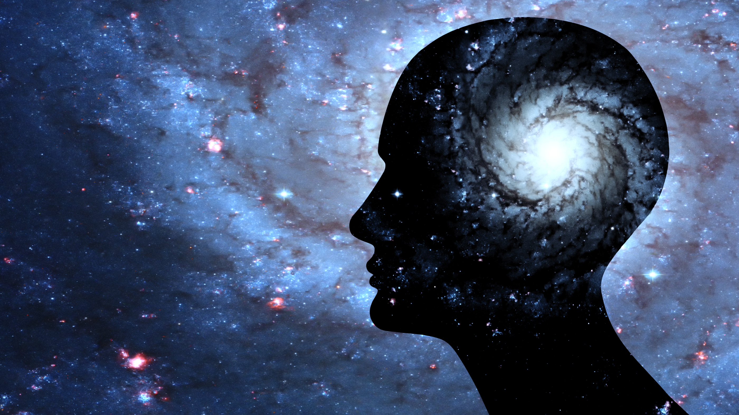 Голова с прекрасными мыслями. Человек и Вселенная. Человек в космосе. Космос (философия).