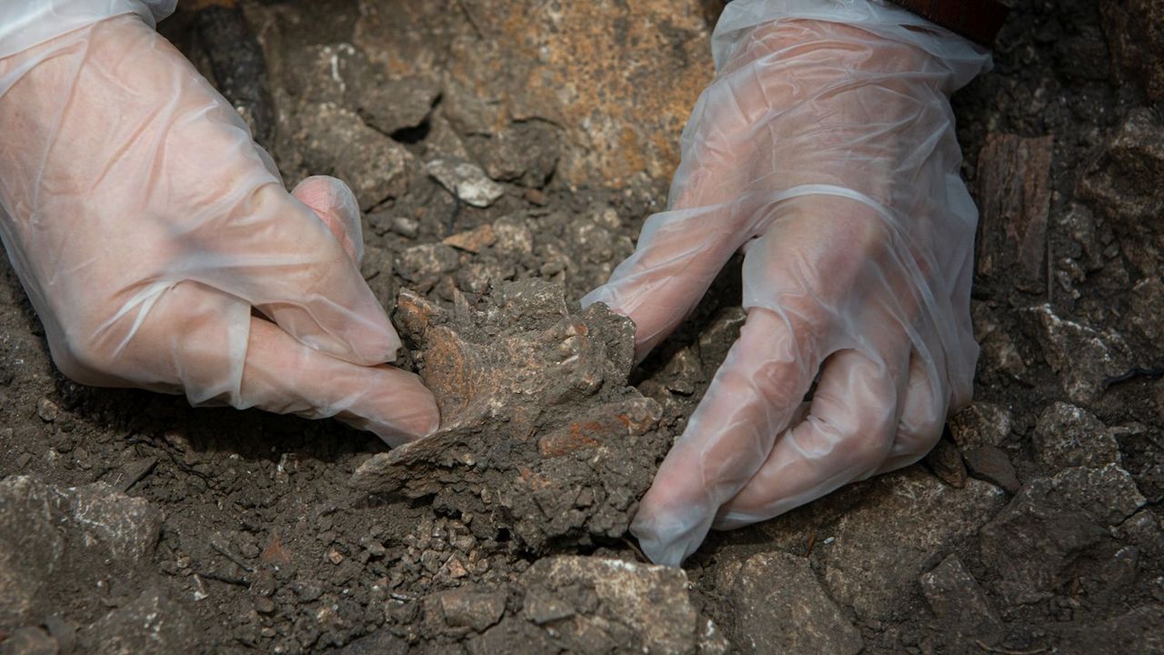 Gloved hands pull bits of bones out of the dirt