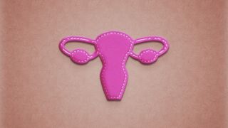 female hormones: cut out of female reproductive health system on pink background
