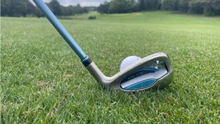 XXIO 13 Ladies Irons