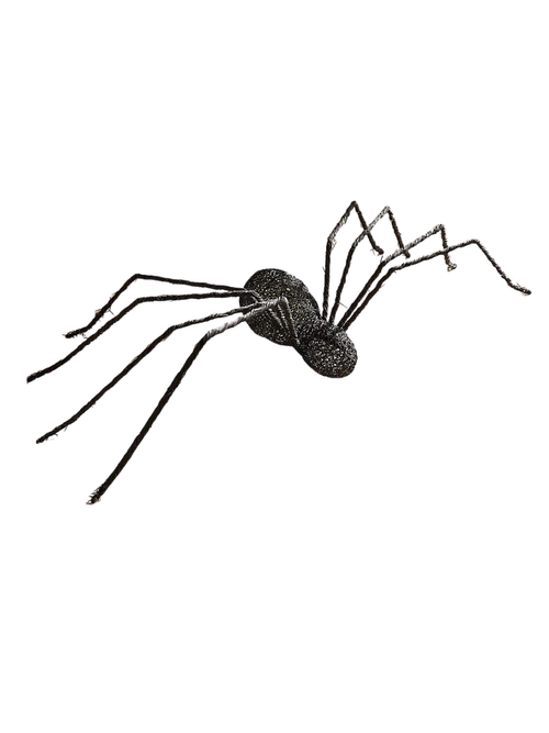 Giant Rattan Vine Spider