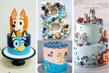 A collage of Bluey birthday cakes from various Instagram users