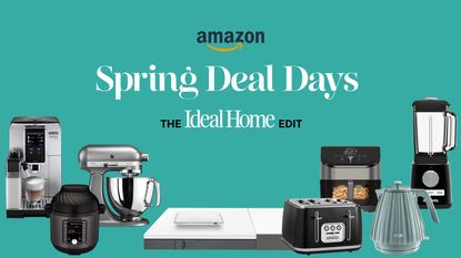 Amazon Spring Deal Days graphic with best Ideal Home buys