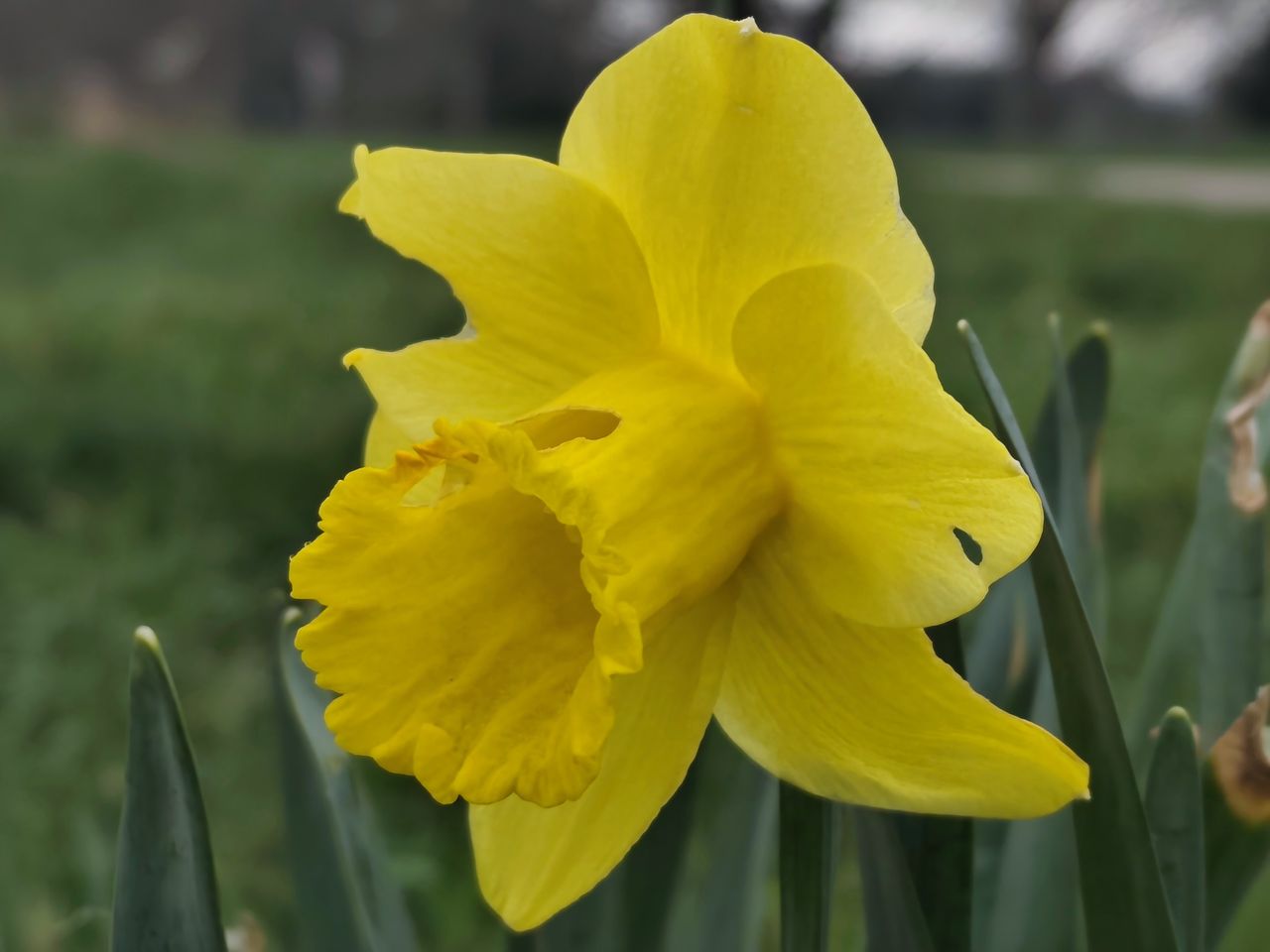 Xiaomi Redmi Note 14 Pro Plus 5G camera image samples