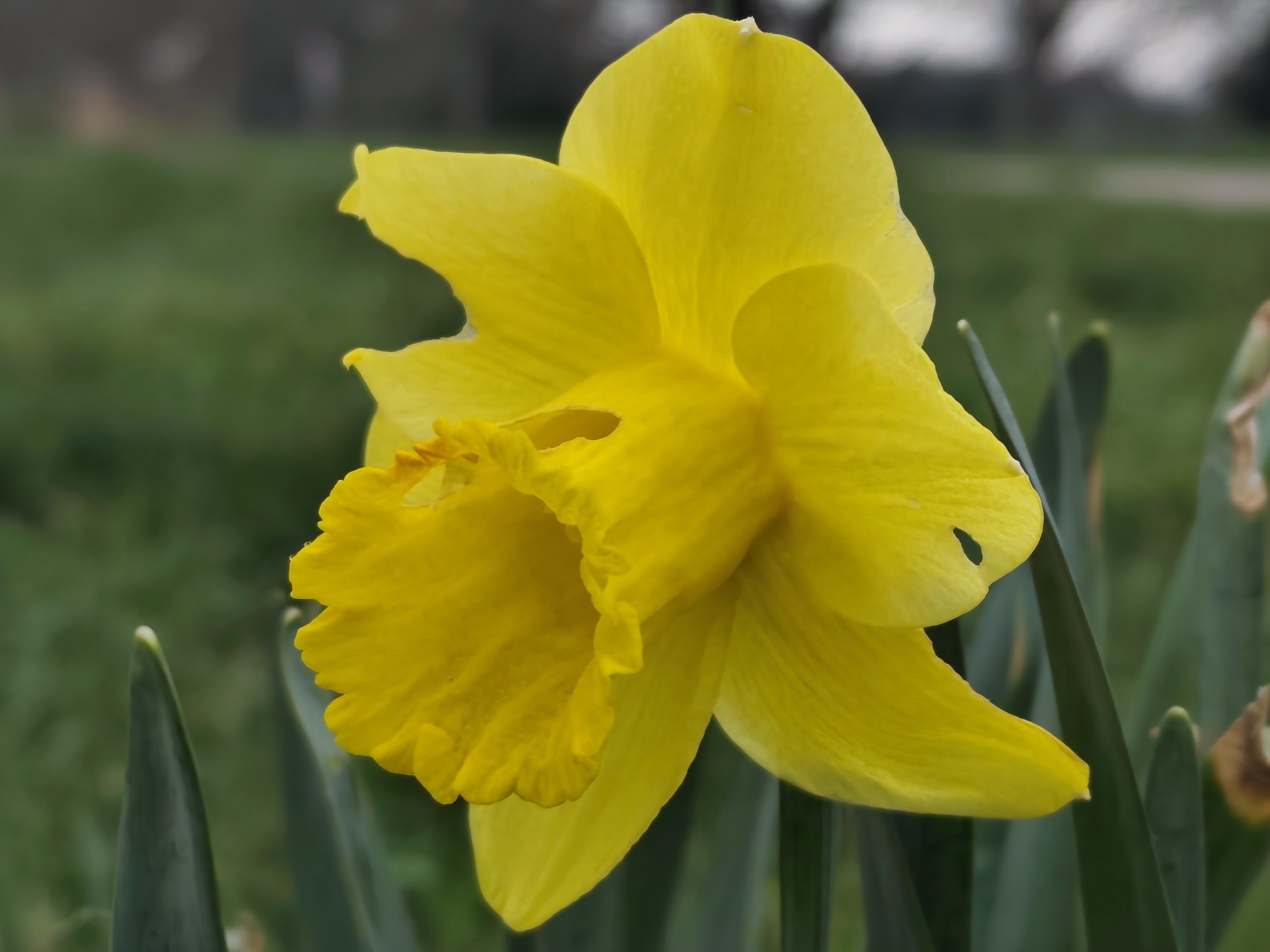 Xiaomi Redmi Note 14 Pro Plus 5G camera image samples