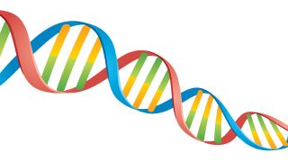 DNA double helix with color coded sections