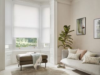 White roller blinds in a bay window