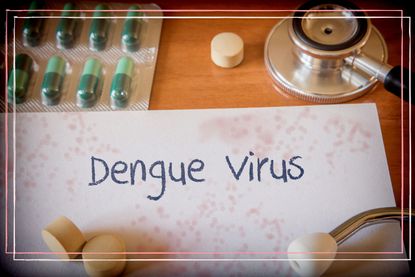 Dengue virus treatment, conceptual image