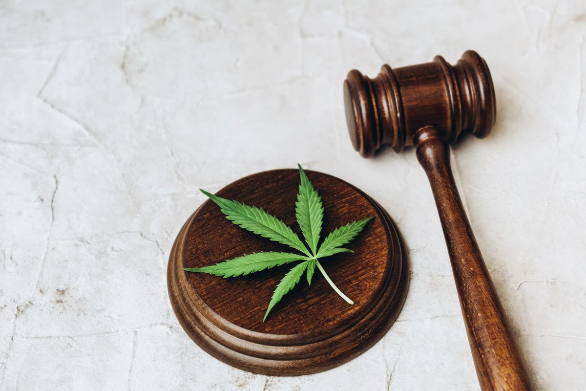 Cannabis Social Equity Programs And Their Shortcomings | The Week