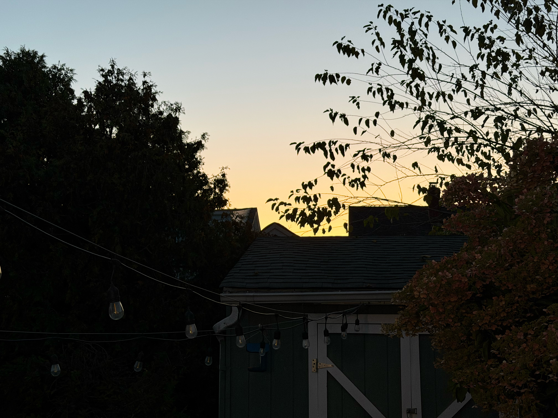 Apple iPhone 17 Pro REVIEW photo samples