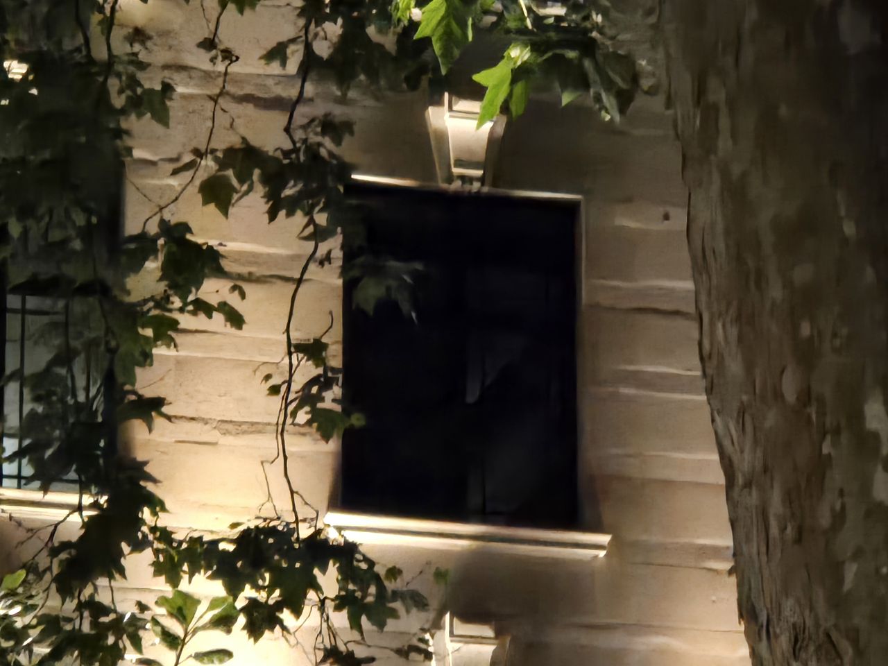 A photo captured on the Samsung Galaxy Z Fold 6