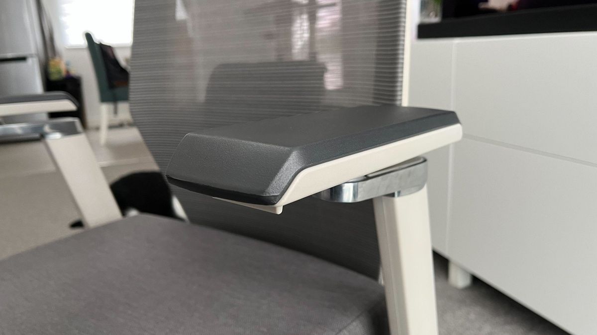 FlexiSpot BS10 office chair review Ergonomic and customizable comfort