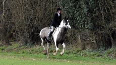 Susannah Andrew riding Mr T out with the Blackmore & Sparkford Vale.