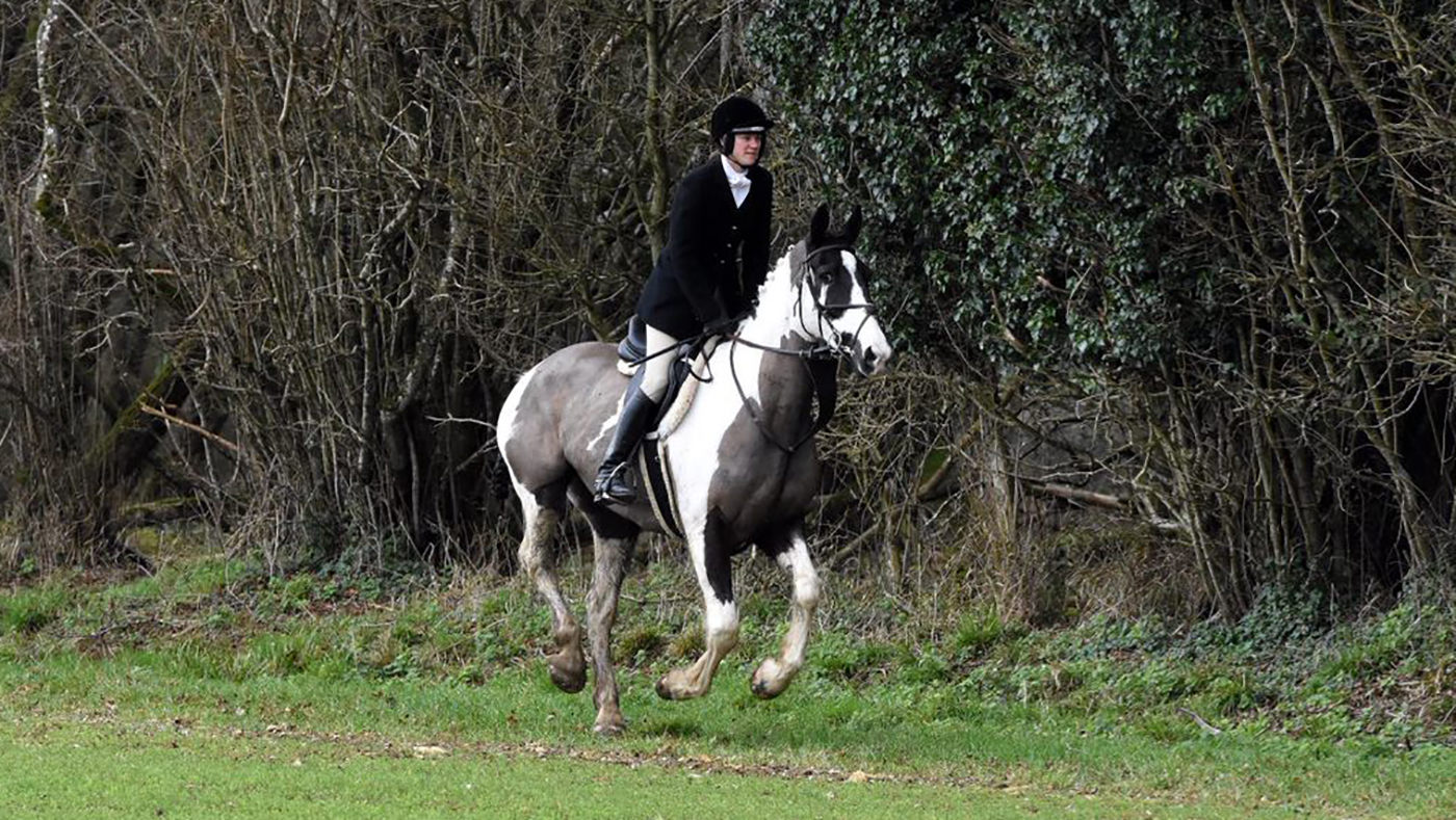 Susannah Andrew riding Mr T out with the Blackmore &amp; Sparkford Vale.