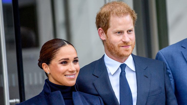 Prince Harry 'satisfied' with security after 'iron cast assurances' of Sussexes' safety